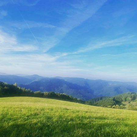 B71 - Appartement Im Herzen Des Schwarzwalds Schramberg Dış mekan fotoğraf