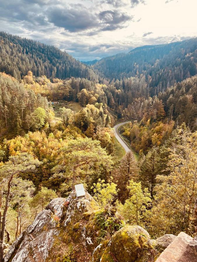 B71 - Appartement Im Herzen Des Schwarzwalds Schramberg Dış mekan fotoğraf