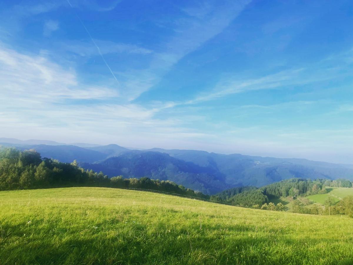 B71 - Appartement Im Herzen Des Schwarzwalds Schramberg Dış mekan fotoğraf